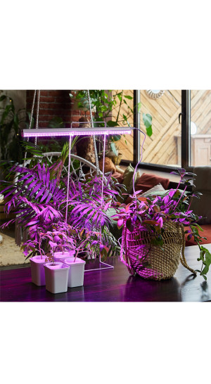 Фитосветильник 10 Вт, 550мм UL-00002991