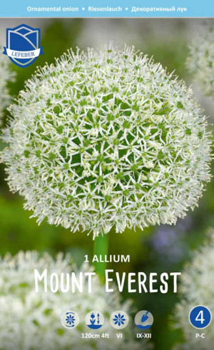 Аллиум Mount Everest (Lefeber)