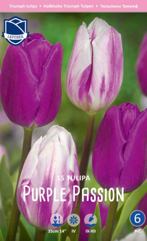 Тюльпаны Purple Passion (серия Perfect partners) (Lefeber)