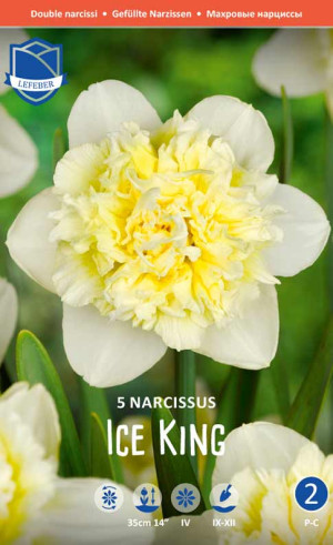 Нарциссы Ice King (Lefeber)