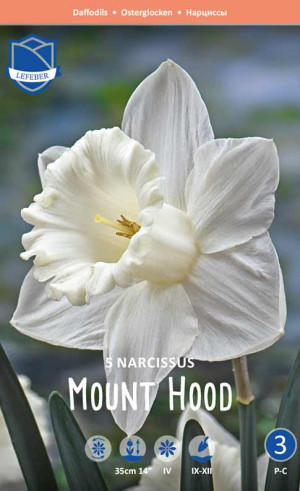 Нарциссы Mount Hood (Lefeber)