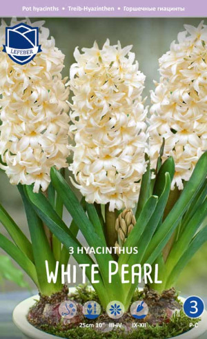 Гиацинты комнатные White Pearl (Lefeber)