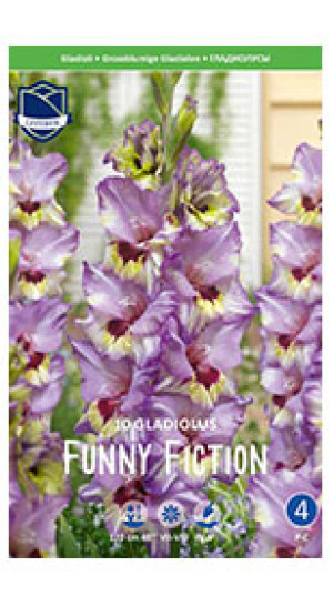 Гладиолус Funny Fiction (Lefeber)