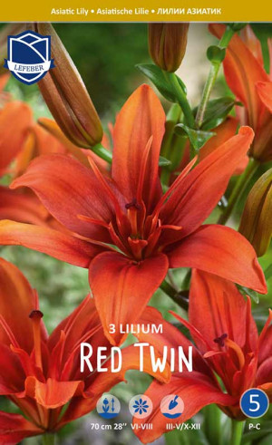 Лилия double Red Twin (Lefeber)