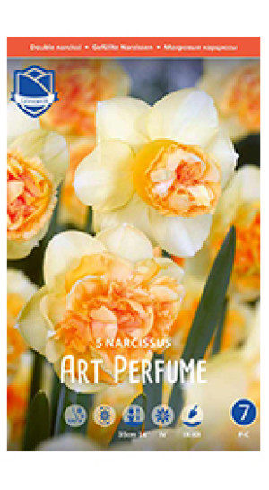 Нарциссы Art Perfume (Lefeber)