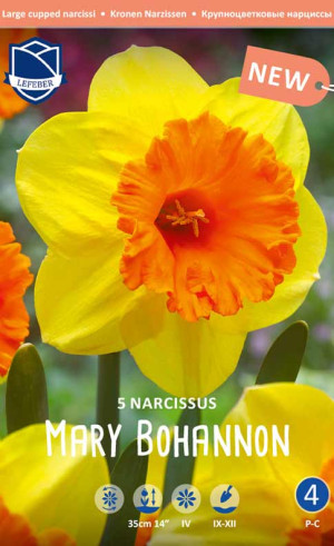 Нарциссы Mary Bohannon (Lefeber)