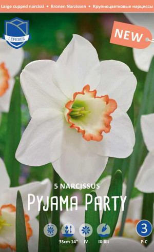 Нарциссы Pyjama Party (Lefeber)