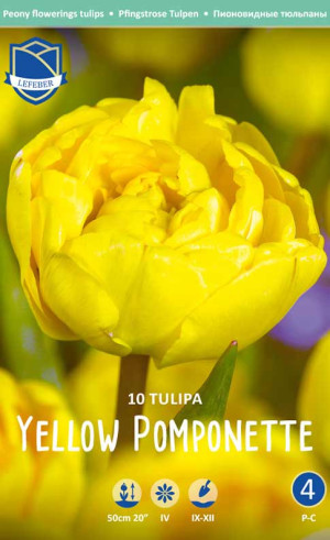 Тюльпаны Yellow Pomponette (Йеллоу Помпонетт) (Lefeber)
