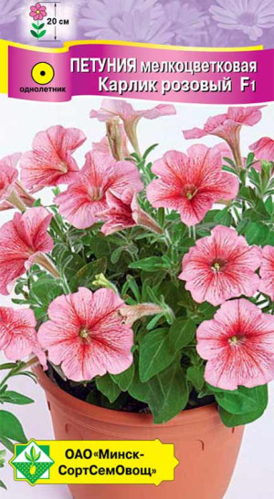 Петуния гибридная мелкоцветковая Карлик розовый F1 7шт