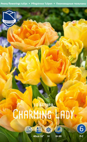 Тюльпаны Charming Lady (Lefeber)