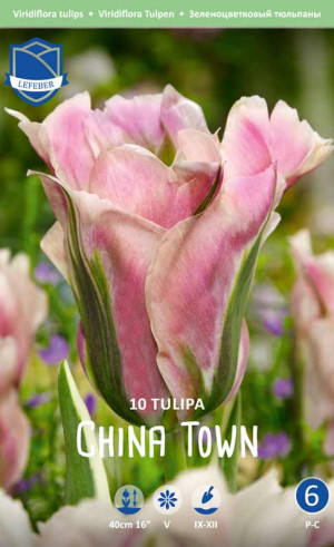 Тюльпаны China Town (Lefeber)