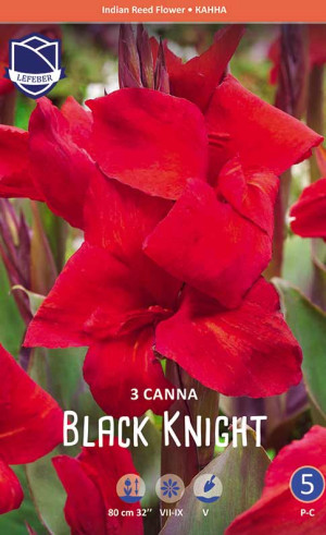 Канна Black Knight (Lefeber)