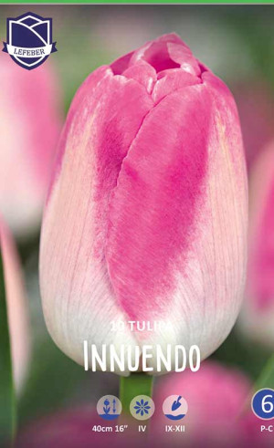 Тюльпаны Innuendo (Lefeber)