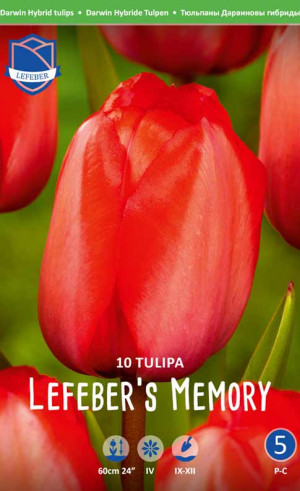 Тюльпаны Lefeber's Memory (Лефеберс Мемори) (Lefeber)