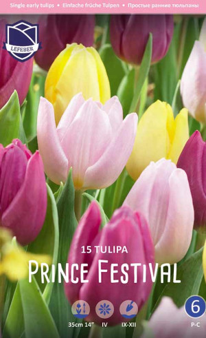 Тюльпаны Prince Festival (серия Perfect partners) (Lefeber)