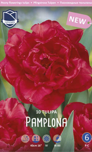Тюльпаны Pamplona (Lefeber)