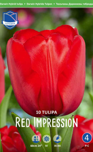 Тюльпаны Red Impression (Lefeber)