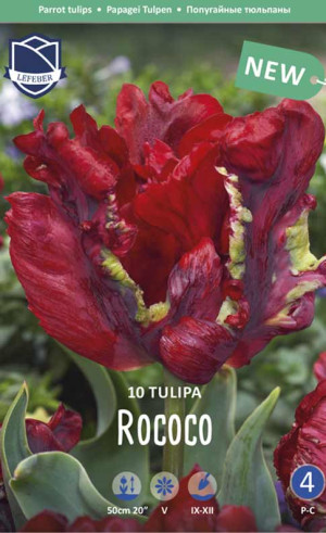 Тюльпаны Rococo (Lefeber)