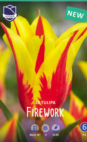 Тюльпаны Firework (Фаерворк) (Lefeber)