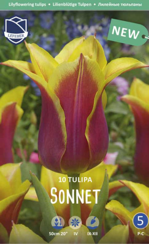 Тюльпаны Sonnet (Lefeber)