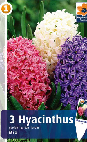 Гиацинты Garden Mix (R. De Ree)
