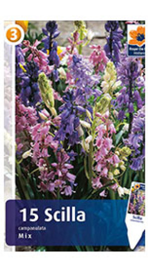 Сцилла campanulata mix (R. De Ree)