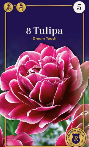 Тюльпаны Dream Touch (R. De Ree)
