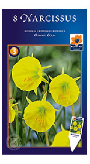 Нарциссы Oxford Gold (R. De Ree)