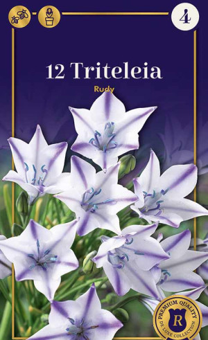 Трителейя Laxa Rudy (R. De Ree)