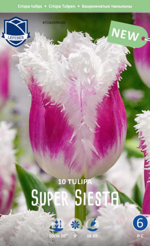 Тюльпаны Super Siesta (Lefeber)