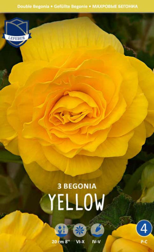 Бегония Double Yellow (Lefeber)