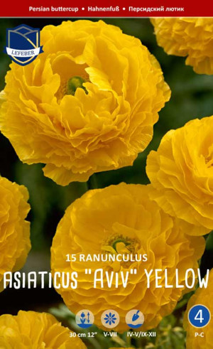 Ранункулус asiaticus Aviv Jaune (Lefeber)