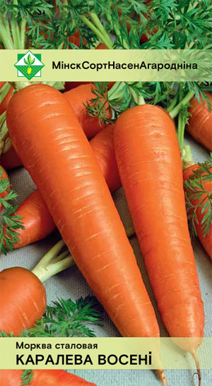 Морковь Королева осени столовая 1.5г