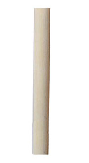 Черенок 1200х24