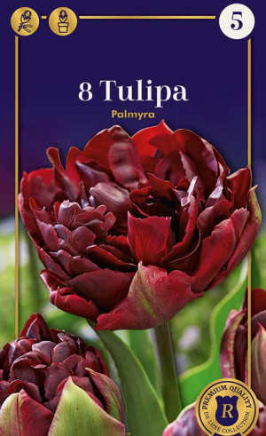 Тюльпаны Palmyra (R. De Ree)