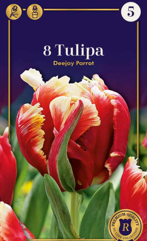 Тюльпаны Deejay Parrot (R. De Ree)
