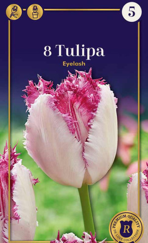Тюльпаны Eyelash (R. De Ree)