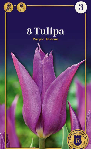 Тюльпаны Purple Dream (R. De Ree)