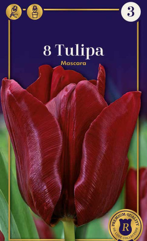 Тюльпаны Mascara (R. De Ree)