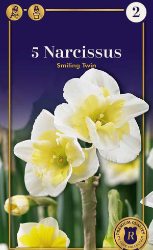 Нарциссы Smiling Twin (R. De Ree)
