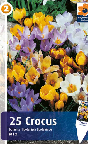 Крокусы Botanical Mix (R. De Ree)