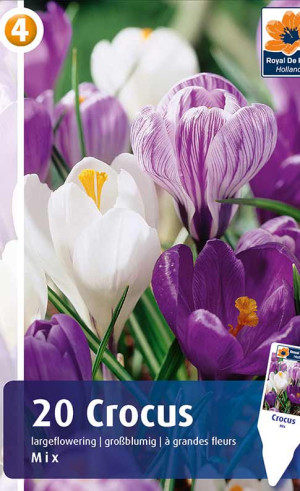 Крокусы Largeflowering Mix (R. De Ree)