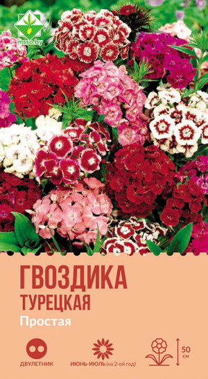 Гвоздика турецкая Простая см 0.5г