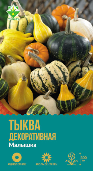 Тыква декоративная Малышка 10шт