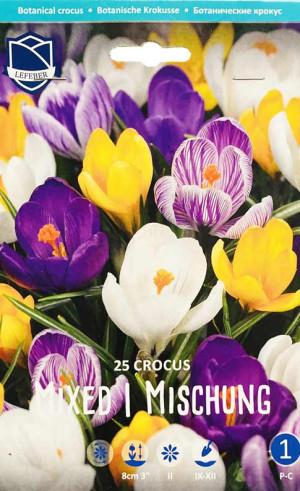 Крокусы Botanical Mixed (Lefeber)