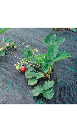 Агроткань 1,05х5м черный почвоукрывной материал с колышками для крепления