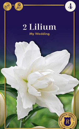 Лилия My Wedding (R. De Ree)