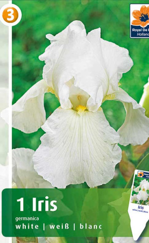 Ирис germanica White (R. De Ree)