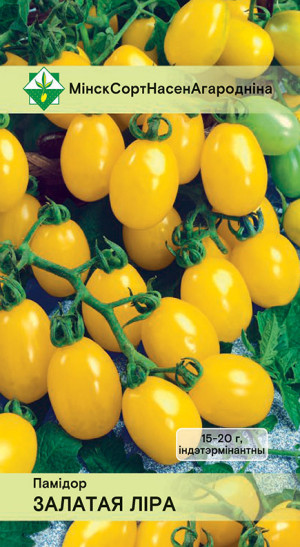 Томат Золотая лира* (тип 