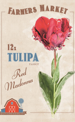 Тюльпаны parrot Red Madonna (серия Farmers Market) (12 шт. в упак.) (R. De Ree)